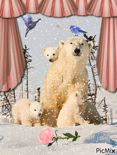 medvědi - Ingyenes animált GIF