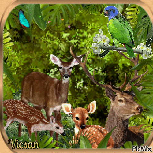 Una familia de animales en la selva. - Free animated GIF