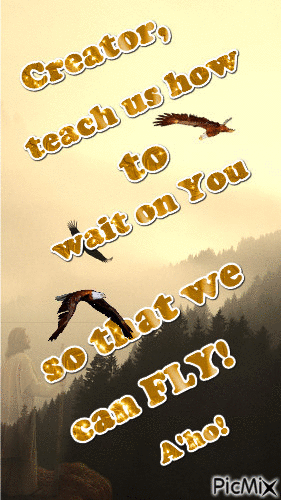 Teach us to fly! - GIF animado gratis
