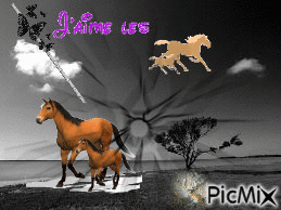 chevaux - GIF animado gratis