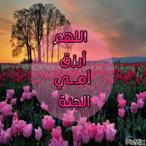 اللهم ارزق امى الجنة - Бесплатный анимированный гифка