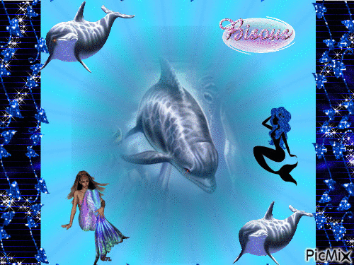 dauphin - Бесплатный анимированный гифка