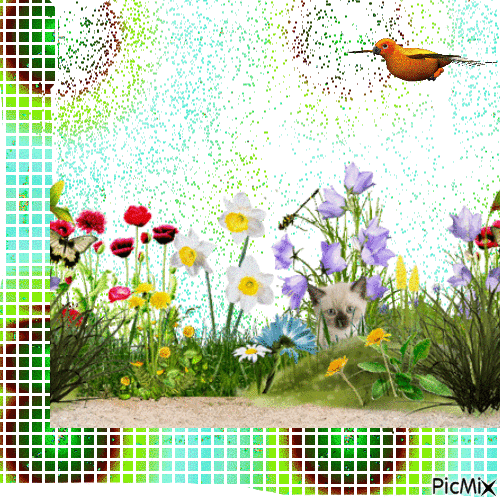 pájaro - 無料のアニメーション GIF