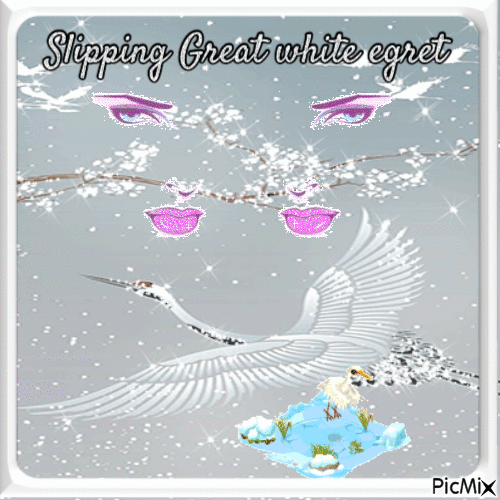 Slipping Great white egret - GIF เคลื่อนไหวฟรี