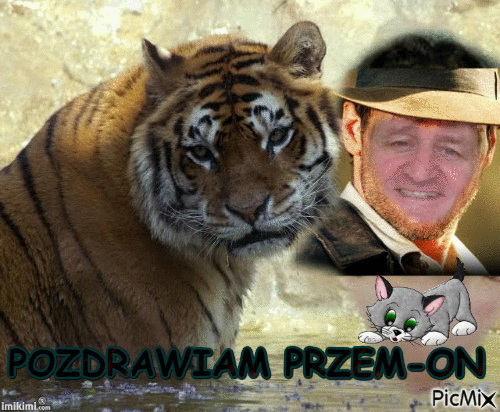 WESOLY PRZEM-ON POZDRAWIA - 無料のアニメーション GIF