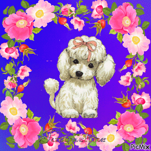 adorable petit chien - Free animated GIF