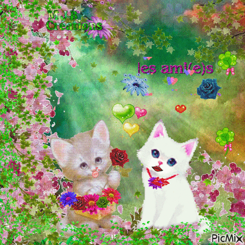 ..Deux chats et des Fleurs ..M J B Créations - Gratis animeret GIF