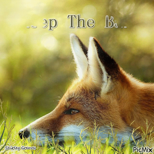 Keep the fox hunting ban - GIF animado gratis