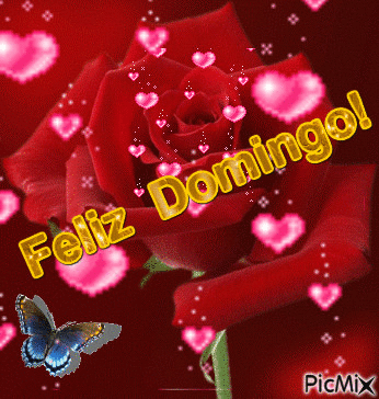 Feliz Domingo - GIF animasi gratis