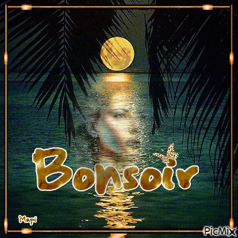 Bonsoir - Animovaný GIF zadarmo