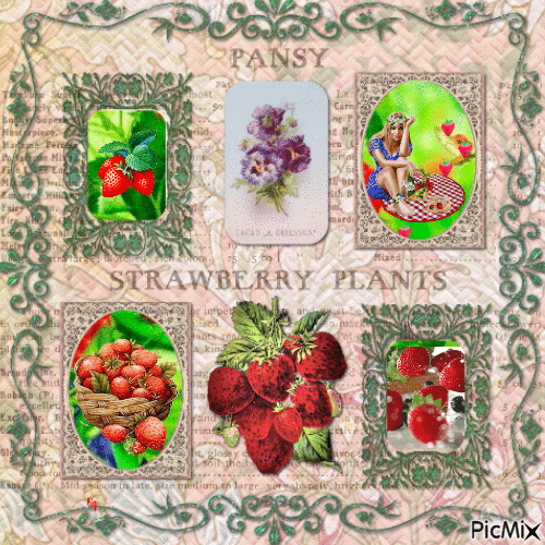Strawberries - Darmowy animowany GIF