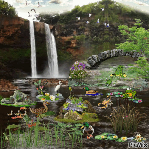 Wasserfall - GIF animado grátis