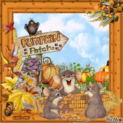 Pumpkin Patch - GIF animado gratis