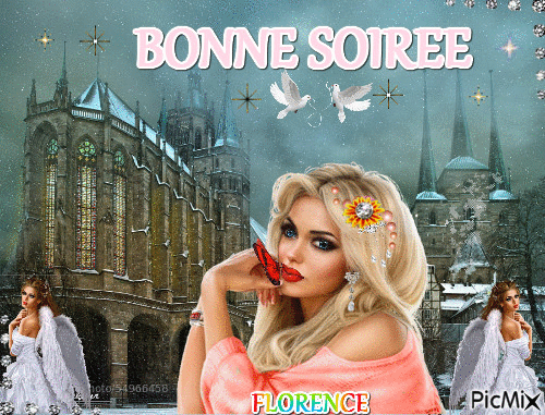 BONNE SOIREE - Gratis animeret GIF