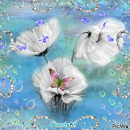 Fleurs Blanches - Ilmainen animoitu GIF