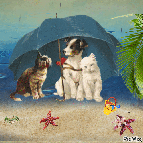 plage avec un parapluie - 免费动画 GIF