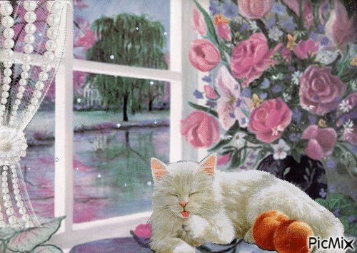 Cat by the Window - GIF animasi gratis