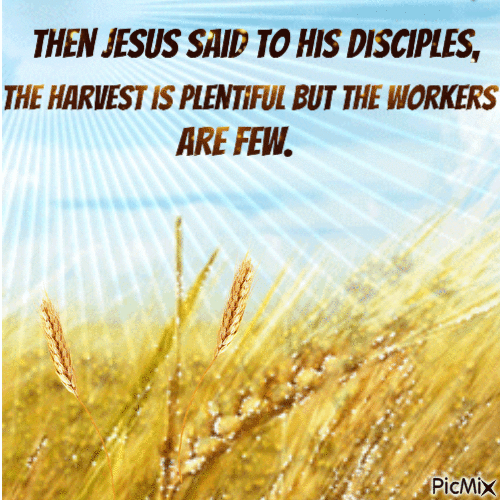 Then Jesus said to his disciples, The Harvest - GIF animate gratis