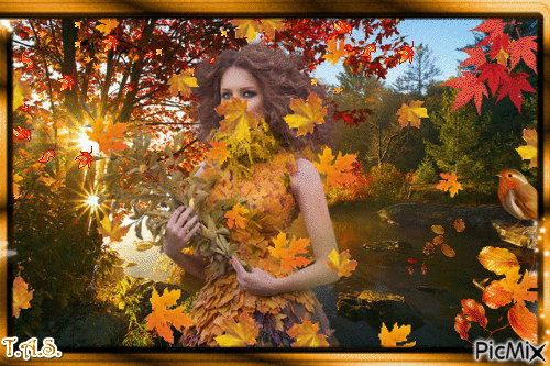 Soirée d'automne - Gratis animeret GIF