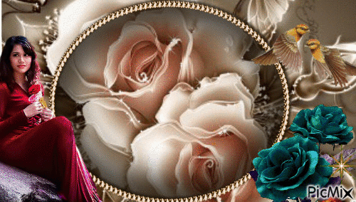 meruňková růže - GIF animado grátis