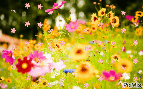 Floraison au printemps - Besplatni animirani GIF