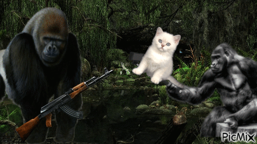 Koko kill kitten now - Nemokamas animacinis gif