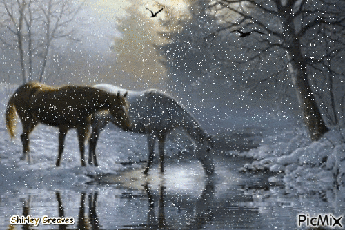 Winter horses - GIF animado grátis