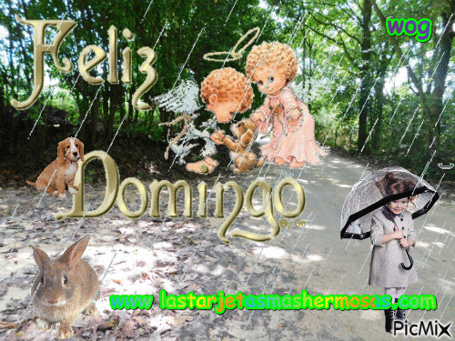 FELIZ DOMINGO - GIF animasi gratis