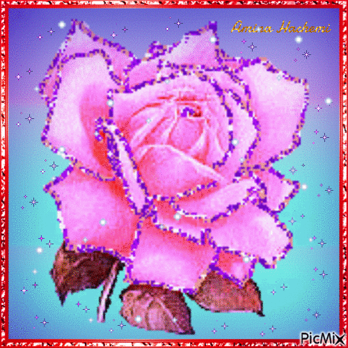 Rose... - Free animated GIF