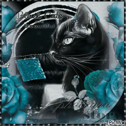 Black Cat - Gratis geanimeerde GIF