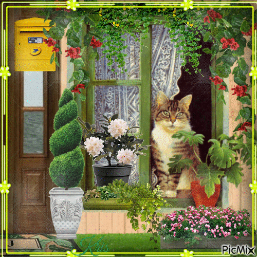 chat dans la fenêtre 🌻🌿🌺 - Безплатен анимиран GIF