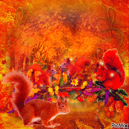 Un bel automne pour mes amis les écureuils - Besplatni animirani GIF
