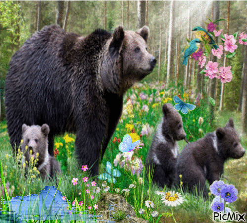 Landscape, mountain, spring, bear, river/lake - Бесплатный анимированный гифка
