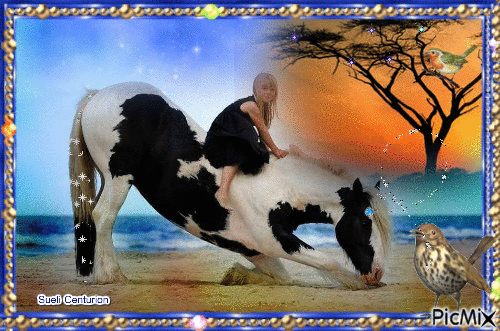 Menina e seu cavalo - Δωρεάν κινούμενο GIF