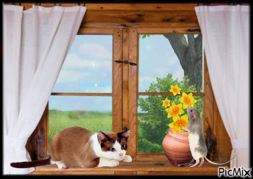 cat and mause - GIF animate gratis