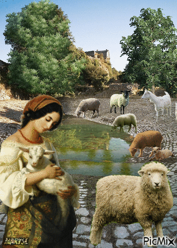 les moutons - Безплатен анимиран GIF