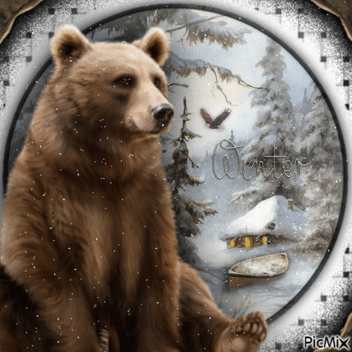 Wild Animal in Winter-RM-11-05-23 - 無料のアニメーション GIF