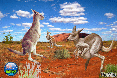 australia - Безплатен анимиран GIF