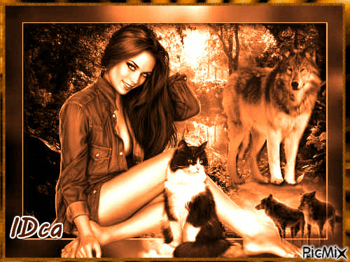 Femme chat et loup - Free animated GIF