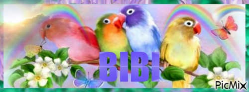 Bibi bannière - Free PNG