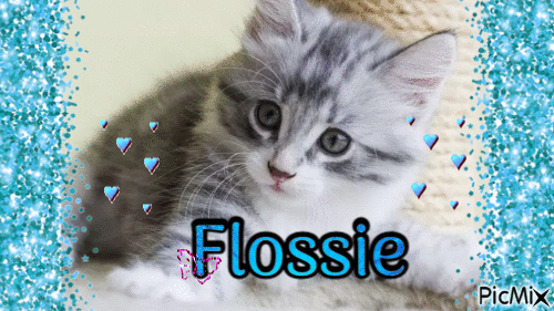 Flossie - GIF animé gratuit