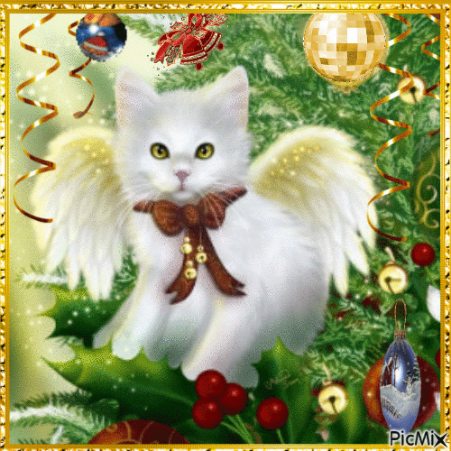 Angel Kitten - Безплатен анимиран GIF