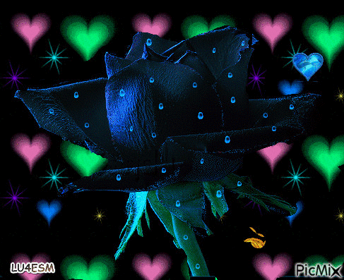 Rosa azul romantica - GIF animado gratis