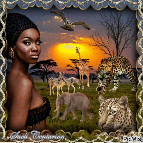 África - Zdarma animovaný GIF