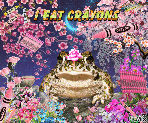 I eat crayons frog - Бесплатный анимированный гифка