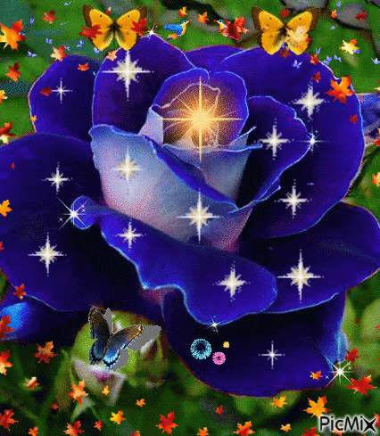 藍色玫瑰 - 無料のアニメーション GIF