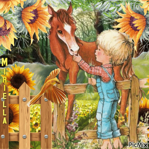 Contest!Petit garçon et son cheval - Ilmainen animoitu GIF