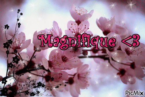 Magnifique - GIF animate gratis