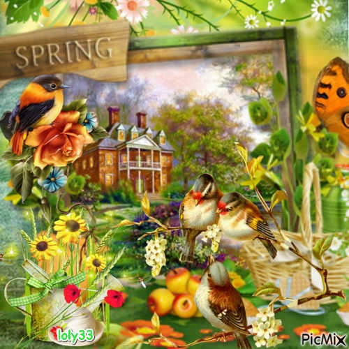 le printemps et les oiseaux - бесплатно png