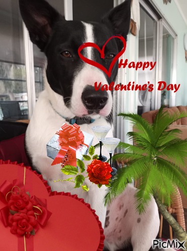 To all the Lovely Ladies~ Love Joey - bezmaksas png